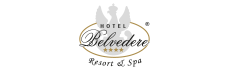 Hotel Belvedere w portfolio agencji reklamowej Brand Bay